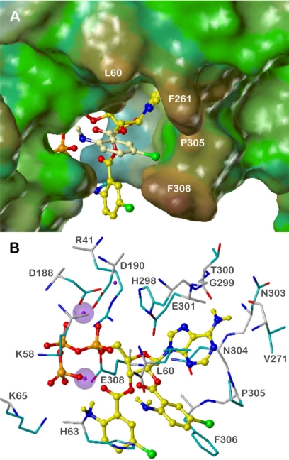 Fig. 6.