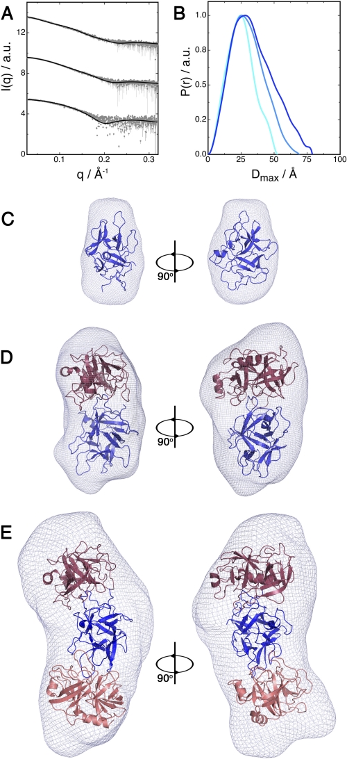 FIGURE 4.