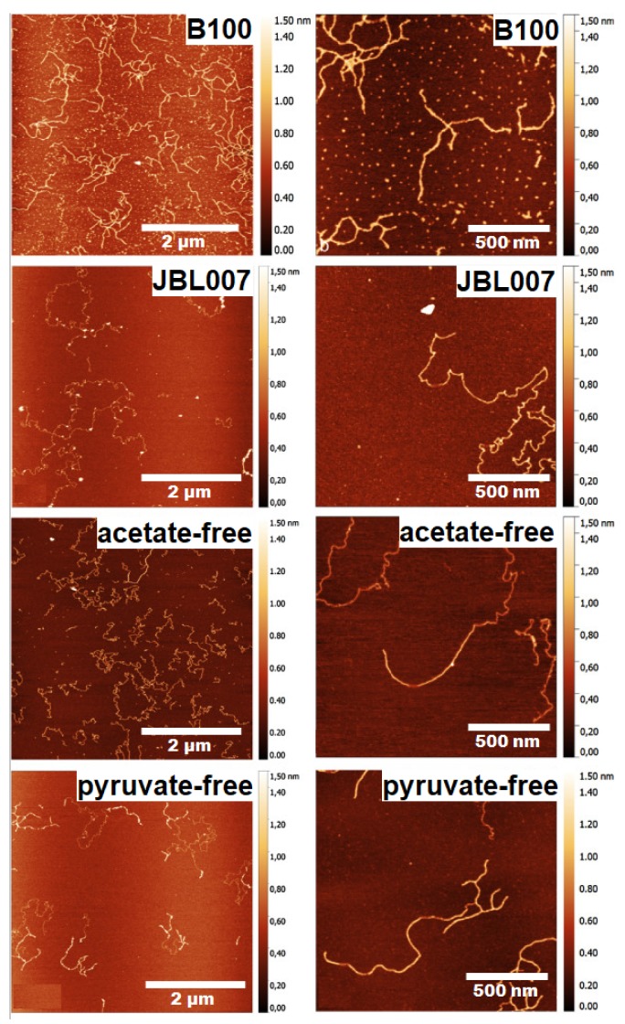 Figure 14