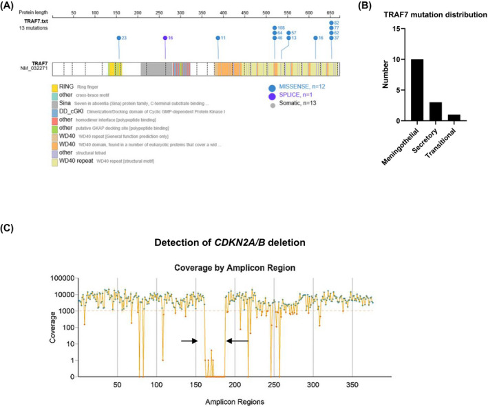 FIGURE 3