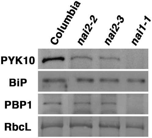 Figure 7.