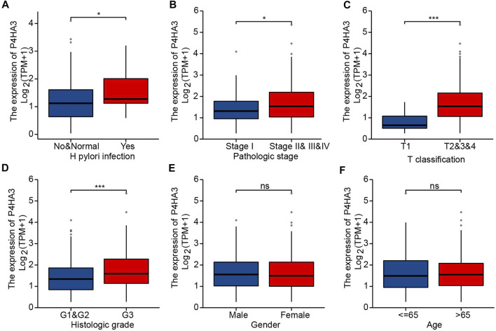 FIGURE 3