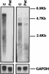 Figure  3