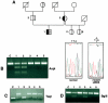 Figure  2