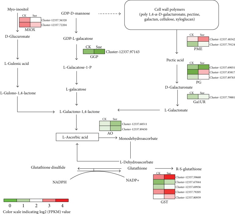 Figure 6