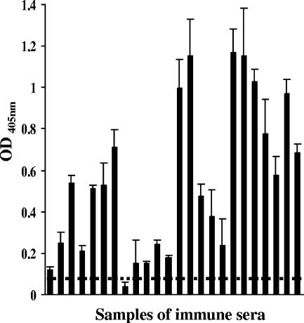 FIG. 1.