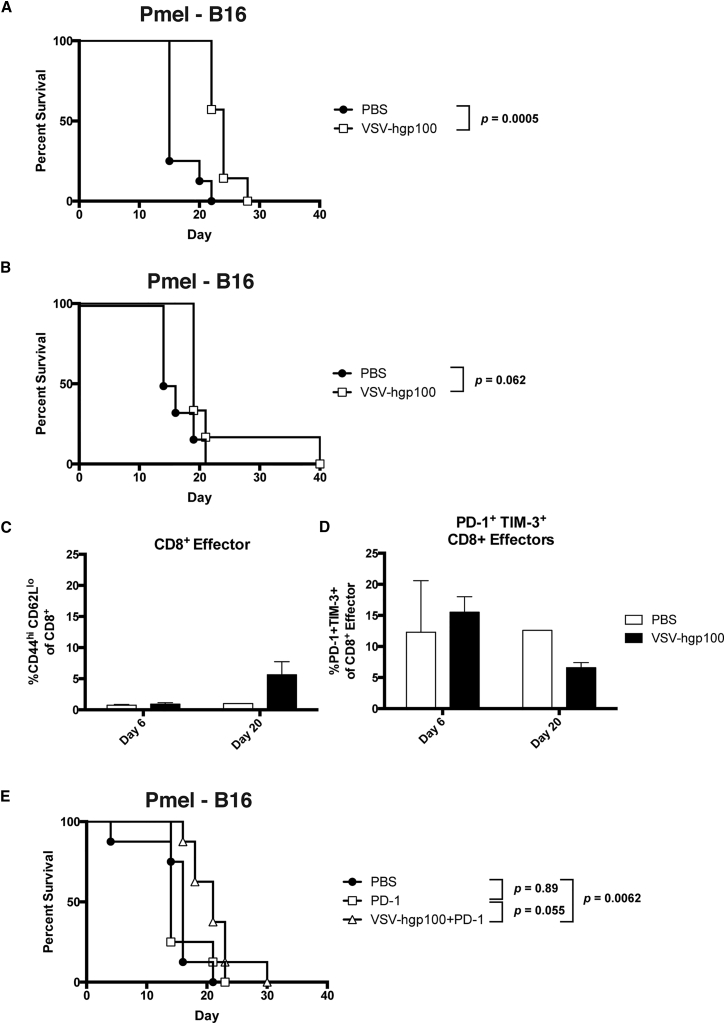 Figure 7