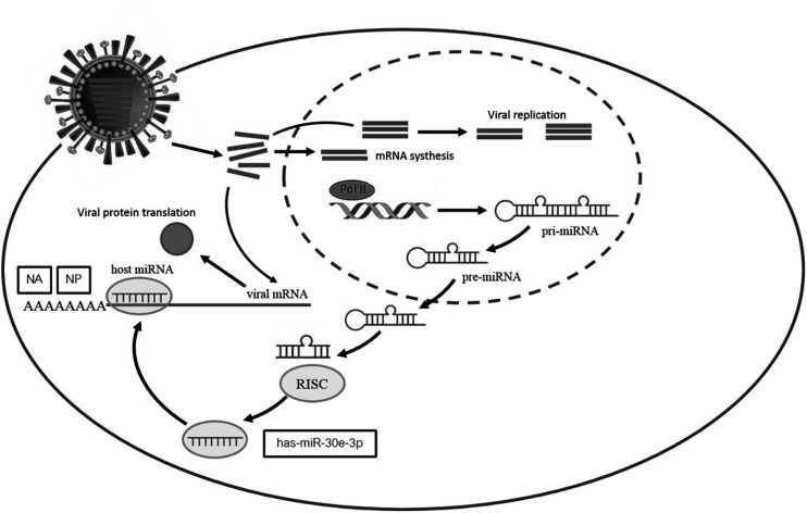 Figure 5.