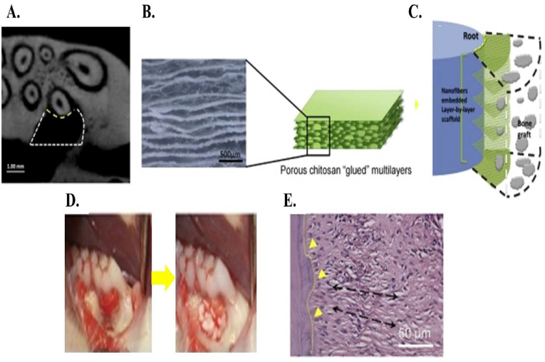 Fig. 7