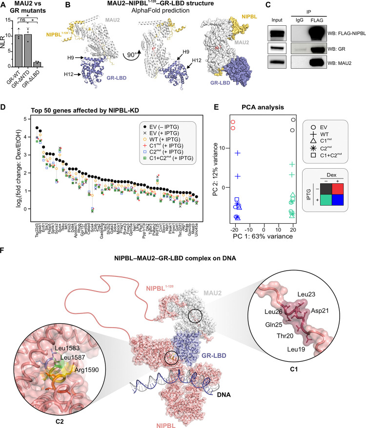 Figure 4: