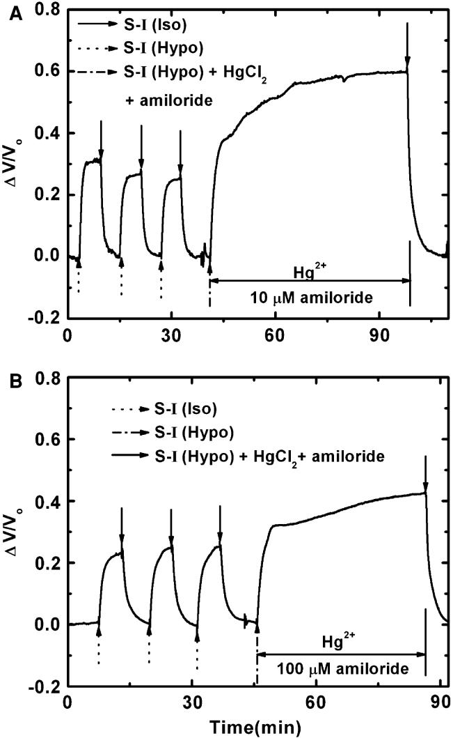 Fig. 6