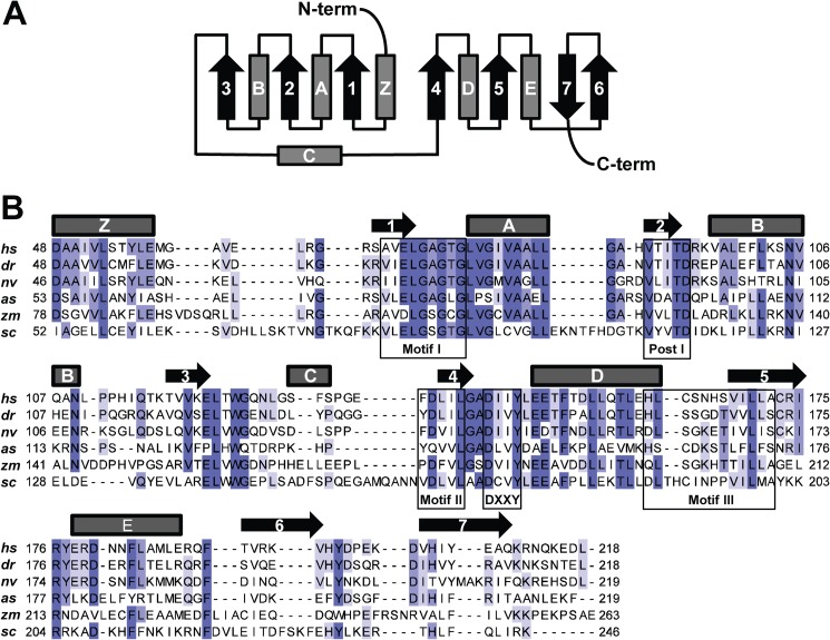 FIGURE 1.