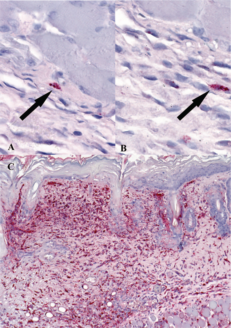 Fig. 2