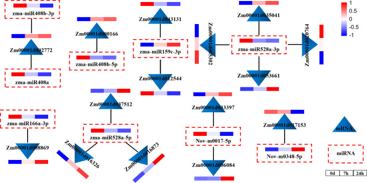 Figure 4