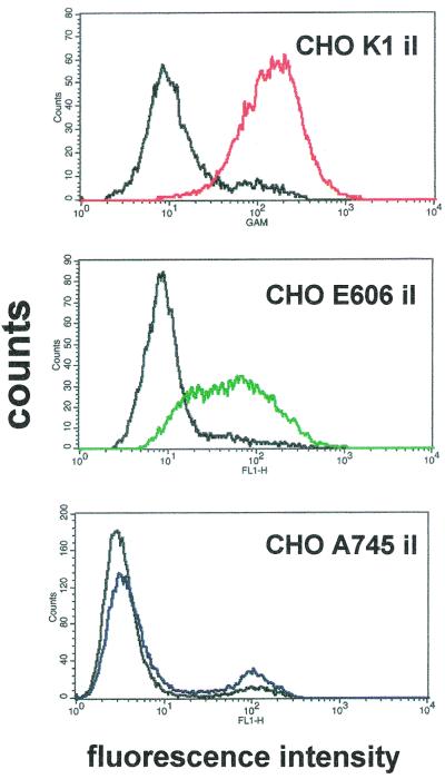 FIG. 6