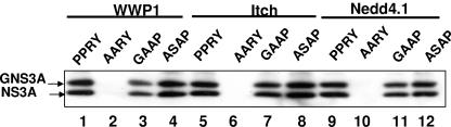 FIG. 5.