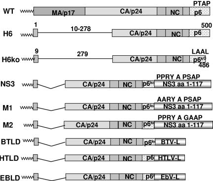 FIG. 8.