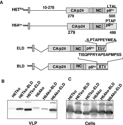 FIG. 10.