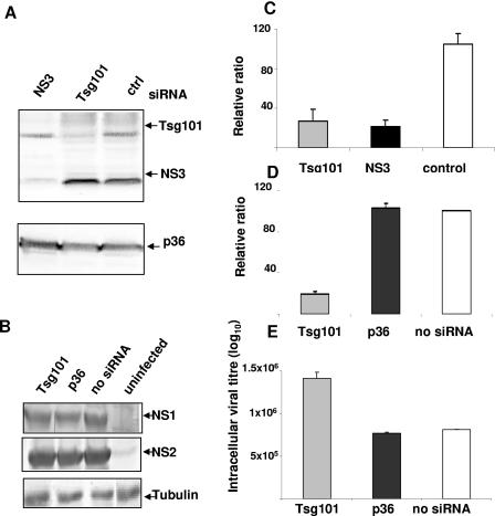 FIG. 6.