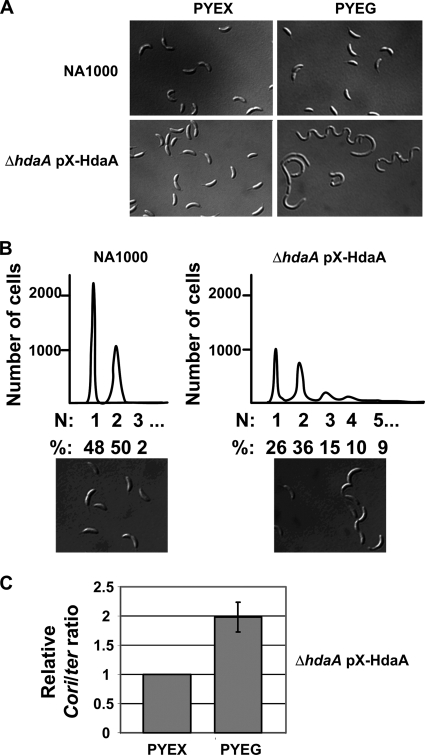 FIG. 2.