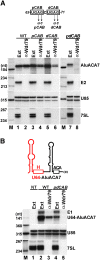 Figure 6.