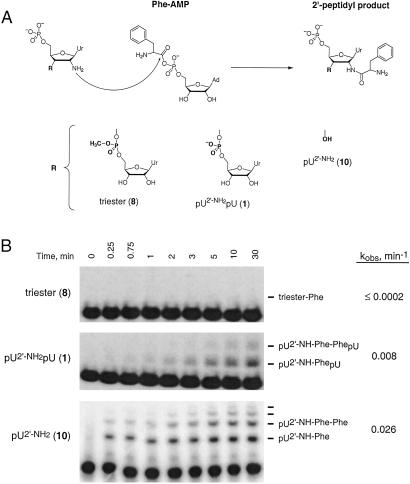 Fig 3.