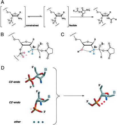 Fig 1.