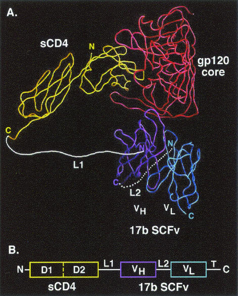 FIG. 1.