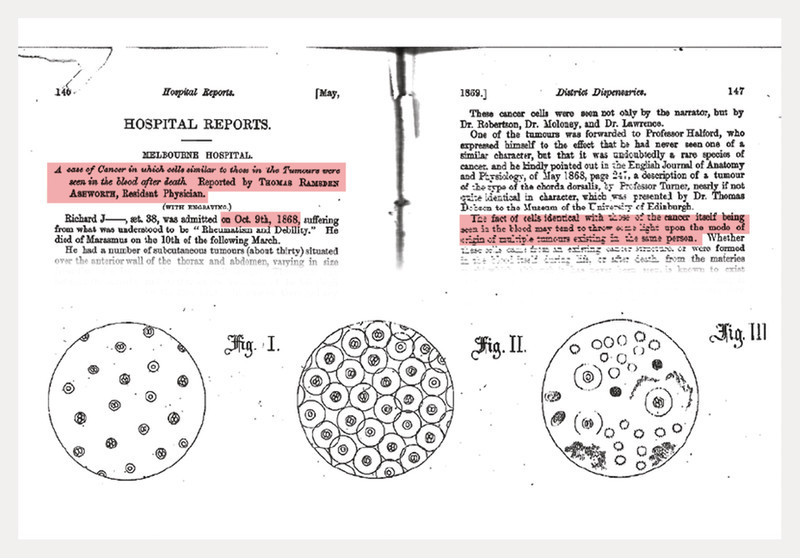 Fig. 1