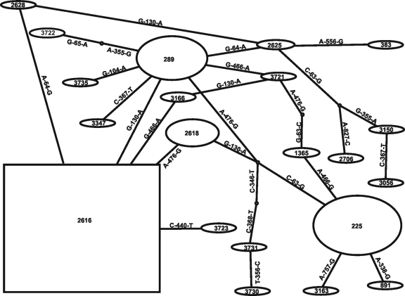 Fig. 3.