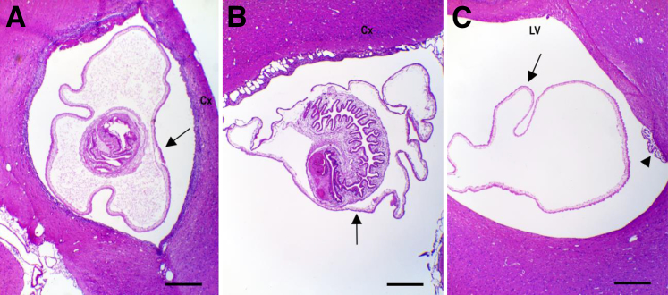 Figure 1