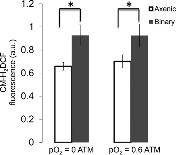 FIG 4 