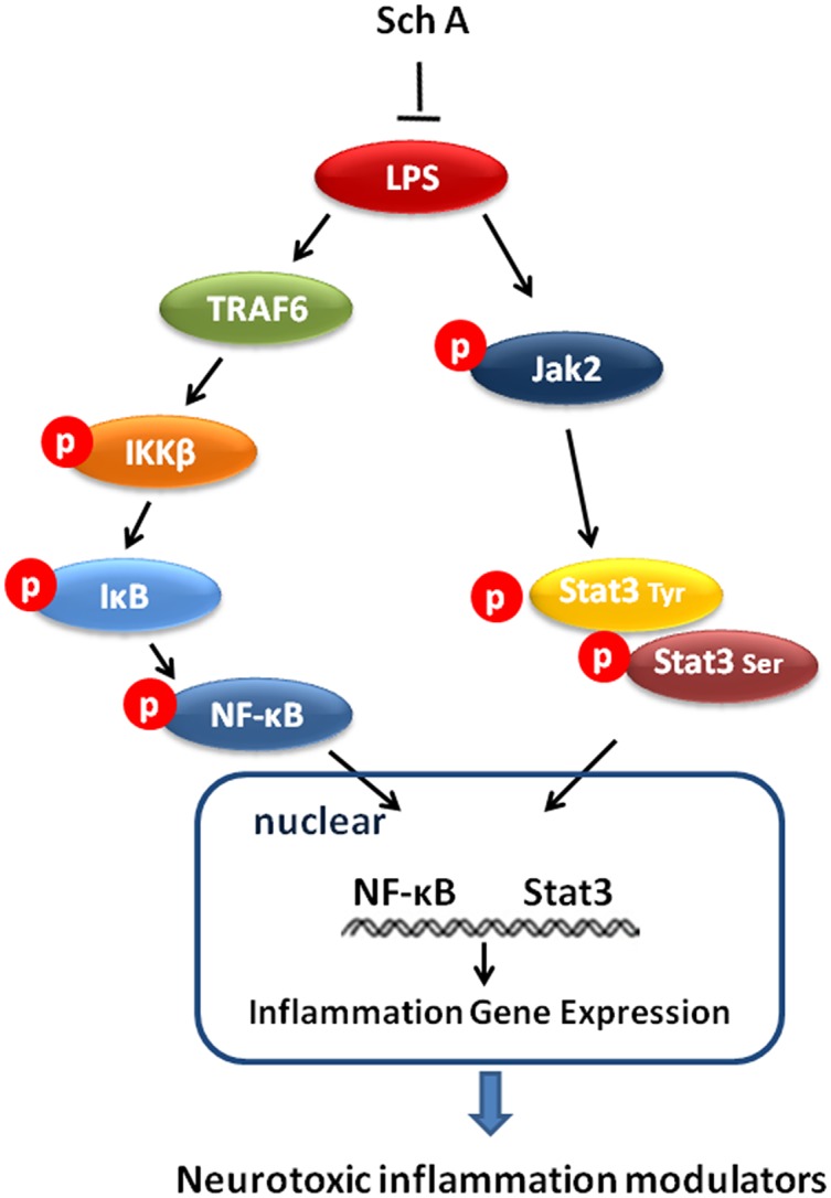 Fig 7