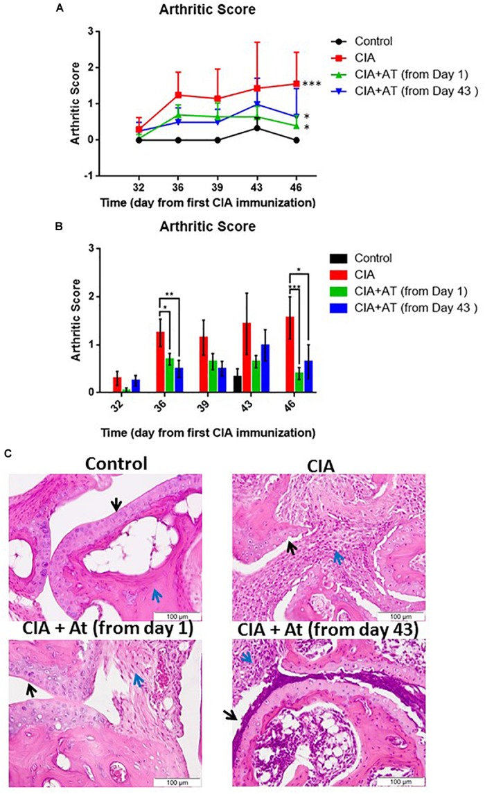 FIGURE 3