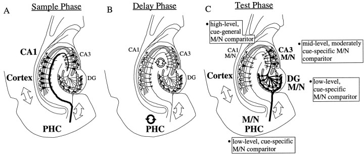 Fig. 9.