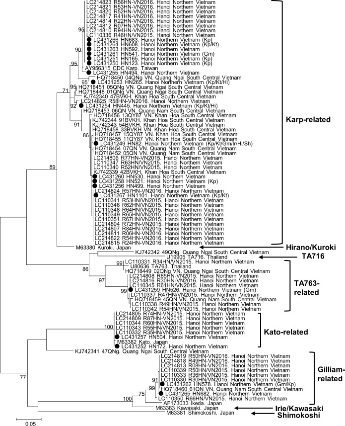 Fig 2