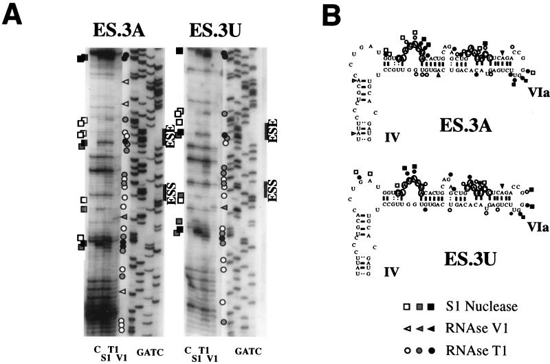 FIG. 6