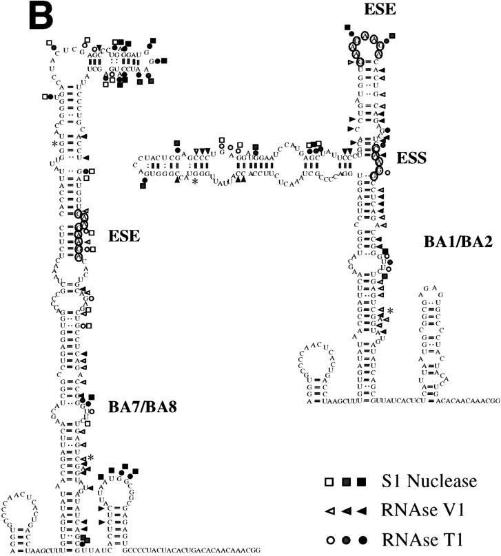 FIG. 7