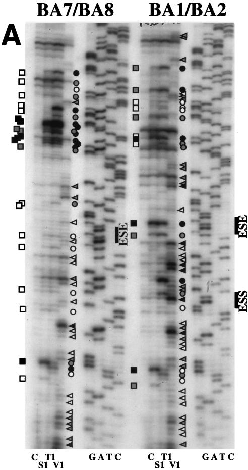 FIG. 7