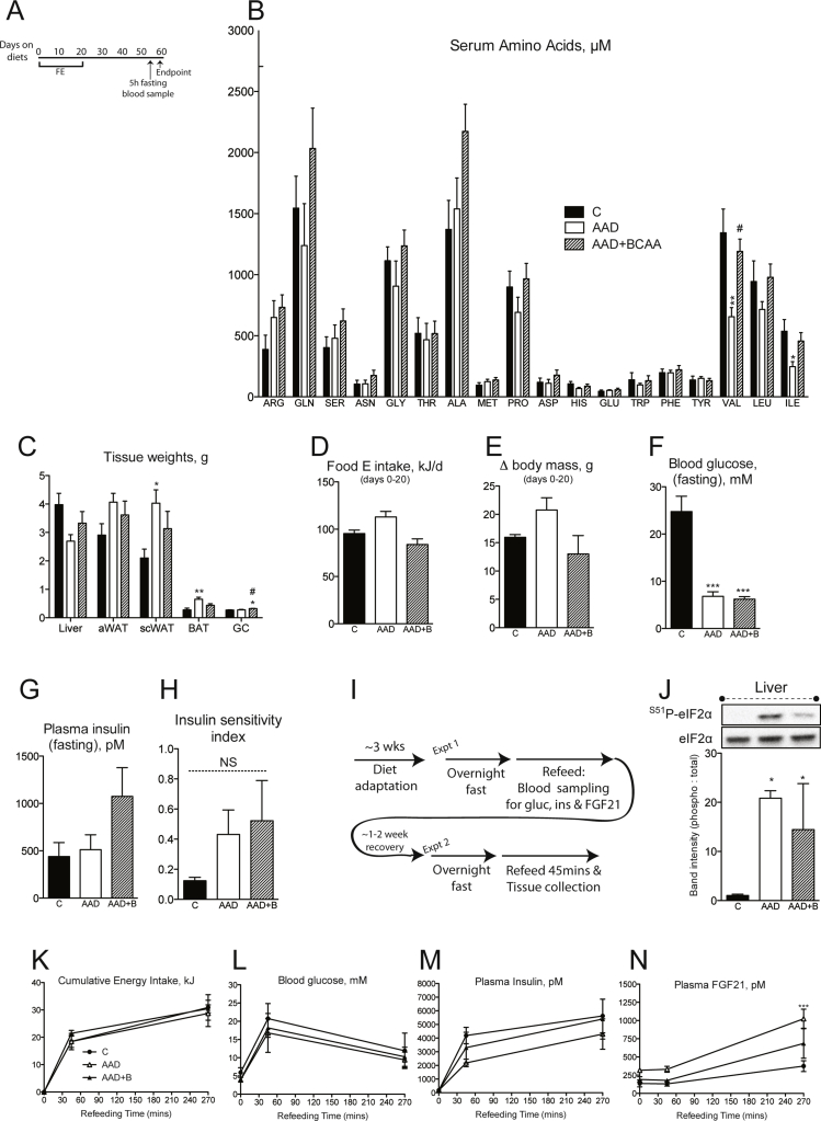 graphic file with name figs4.jpg