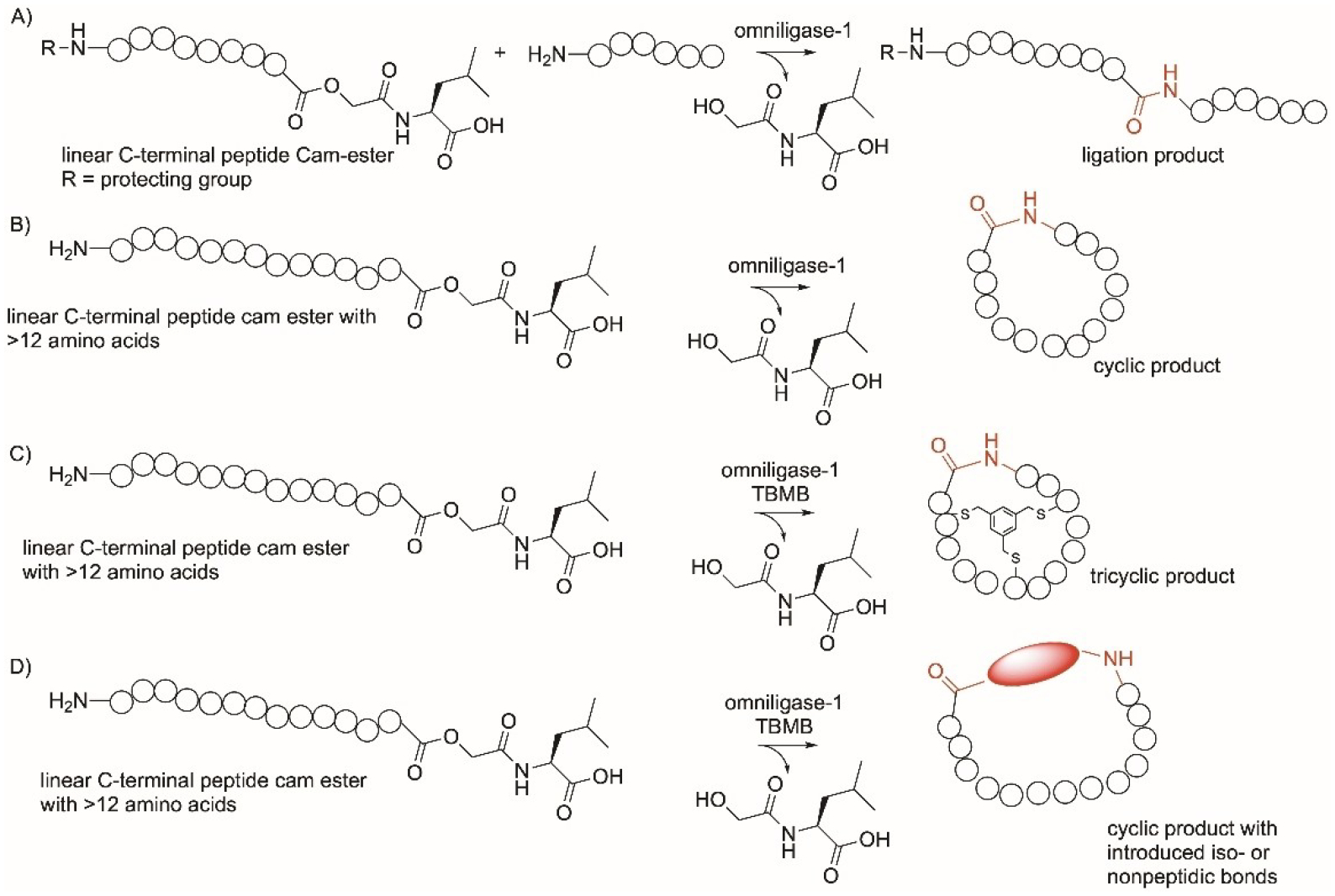 Figure 14.