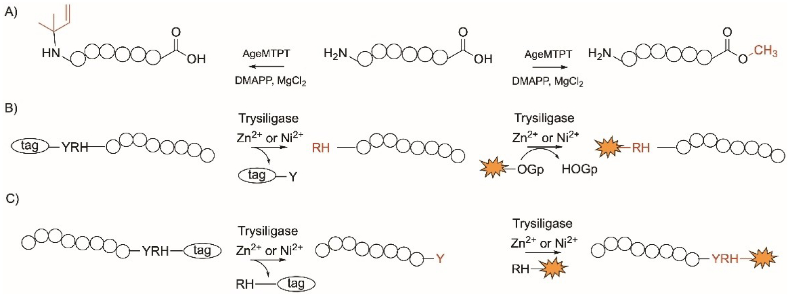 Figure 13.