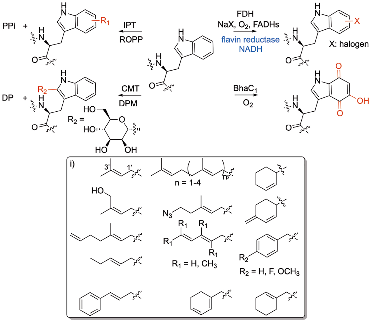 Figure 10.