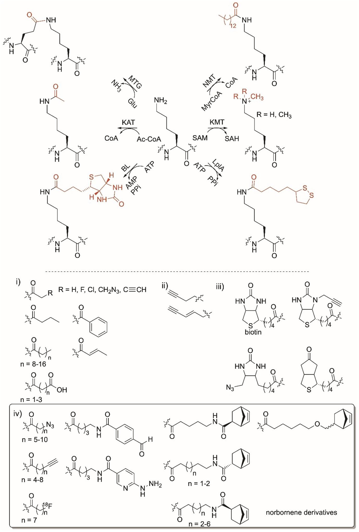 Figure 7.