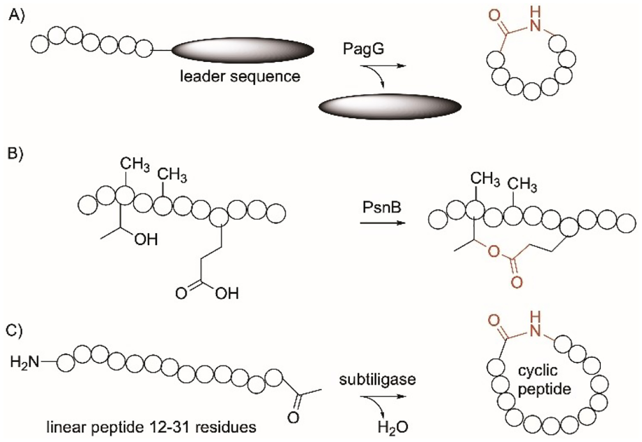 Figure 15.