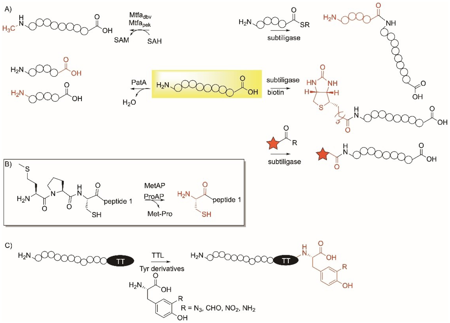 Figure 12.