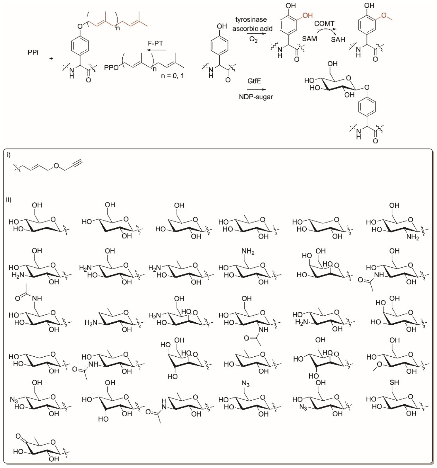 Figure 11.