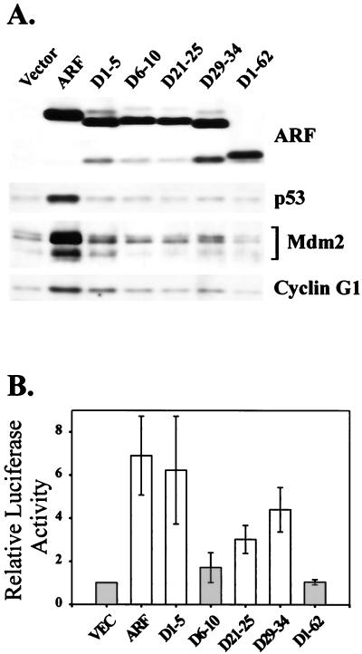 FIG. 9.