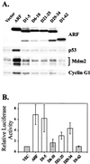 FIG. 9.