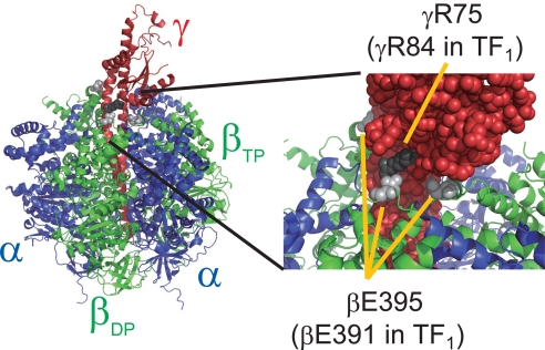 Fig. 1.